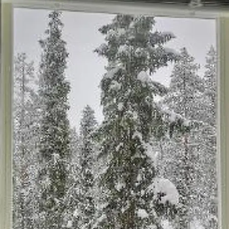 Yllaestar 3 As 601 By Interhome