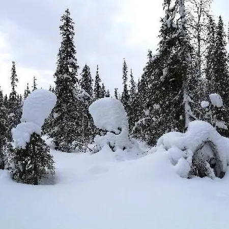 Yllaestar 3 As 601 By Interhome *