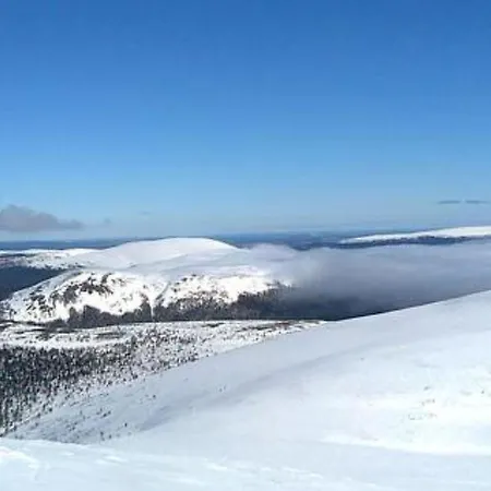 Yllaestar 3 As 601 By Interhome