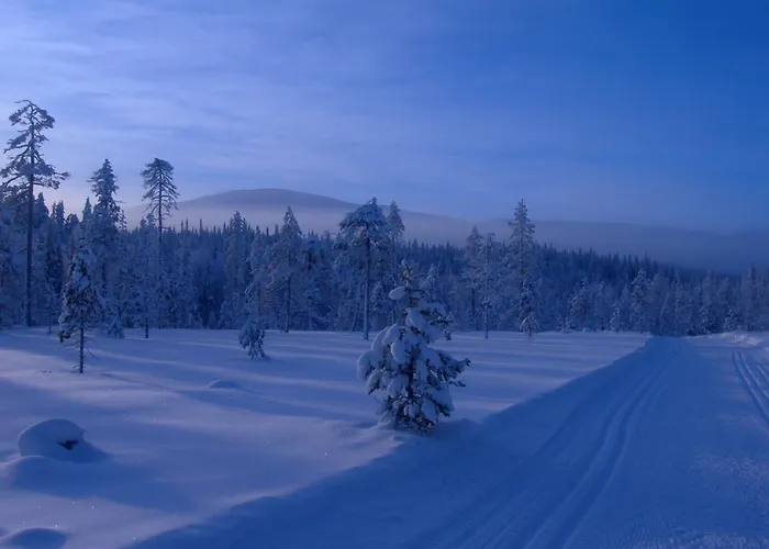 Yllaestar 3 As 601 By Interhome Semesterbostad